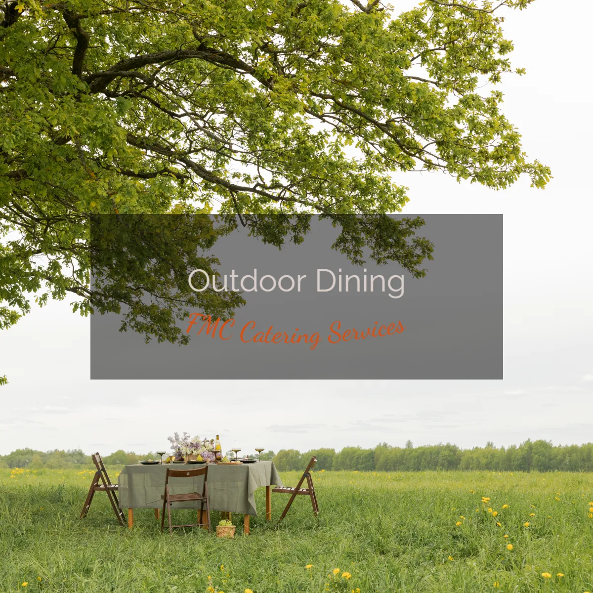Outdoor Dining: Enjoy a Meal in the Outdoors or from the Comfort of Your Own Home