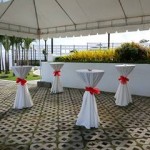 cocktail Robinsons Land Corporation setup