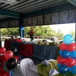 marvel themed party 1