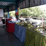 marvel themed party 2