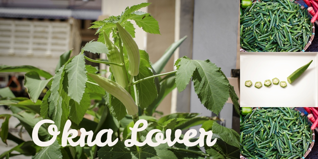Okra lover